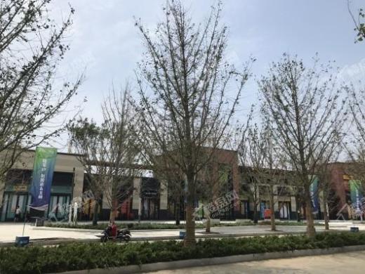 雅居乐威海冠军体育小镇实景图