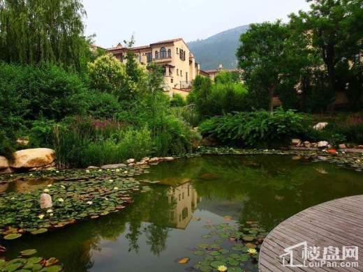 康桥圣菲实景图
